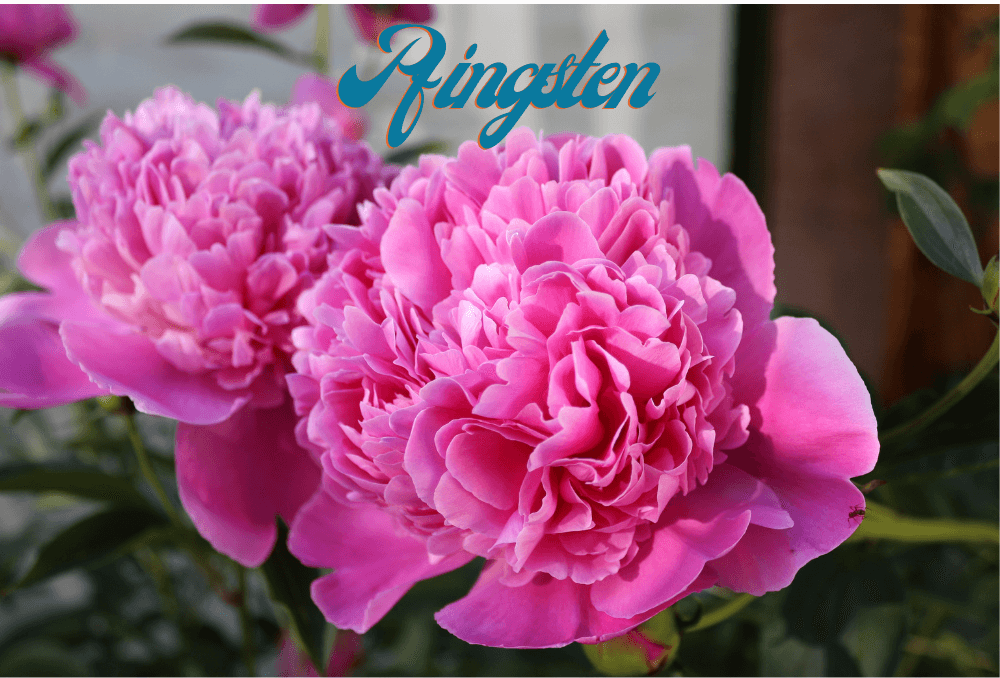 Pfingsten: Eine Zeit des Aufbruchs und der Erneuerung 1 Pfingsten