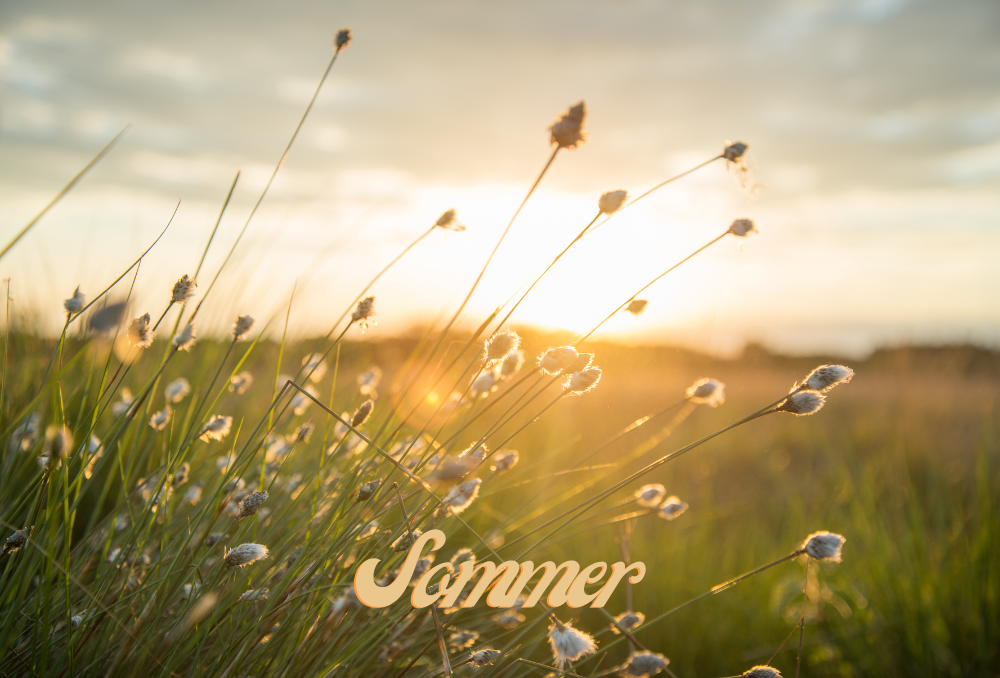 Trommeln bei Hitze: So bleibst du cool, wenn die Temperaturen steigen 1 Sommer